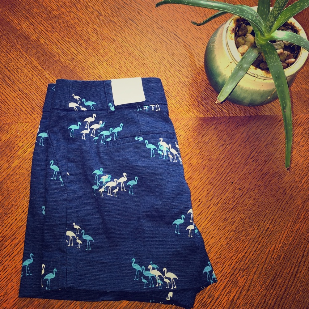 LOFT shorts